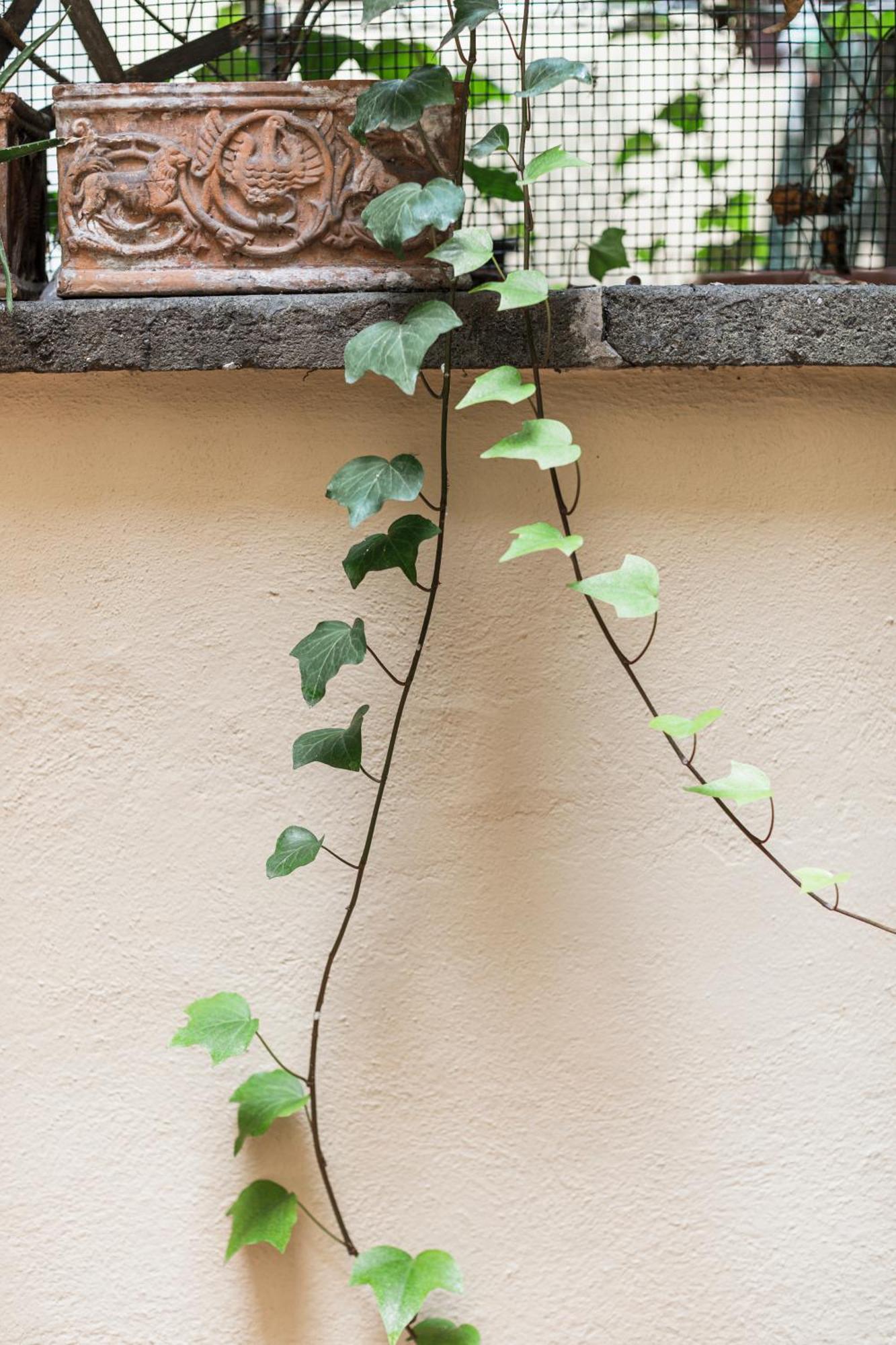 San Pietro Garden House Apartment Roma Ngoại thất bức ảnh